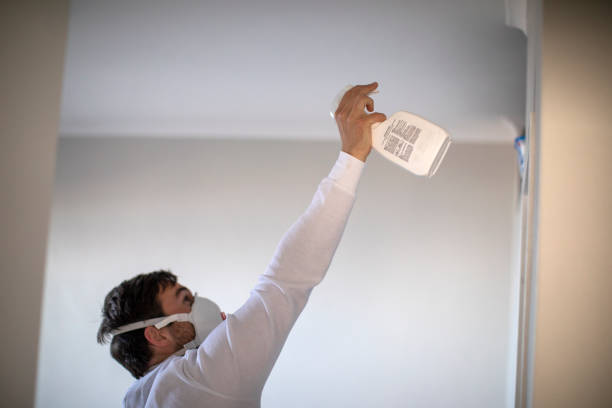Best Mold Remediation  in Kechi, KS